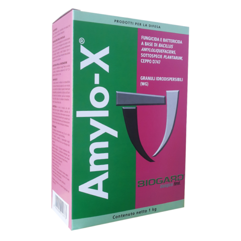 Amylo-X Fungicida B. amyloliquefaciens