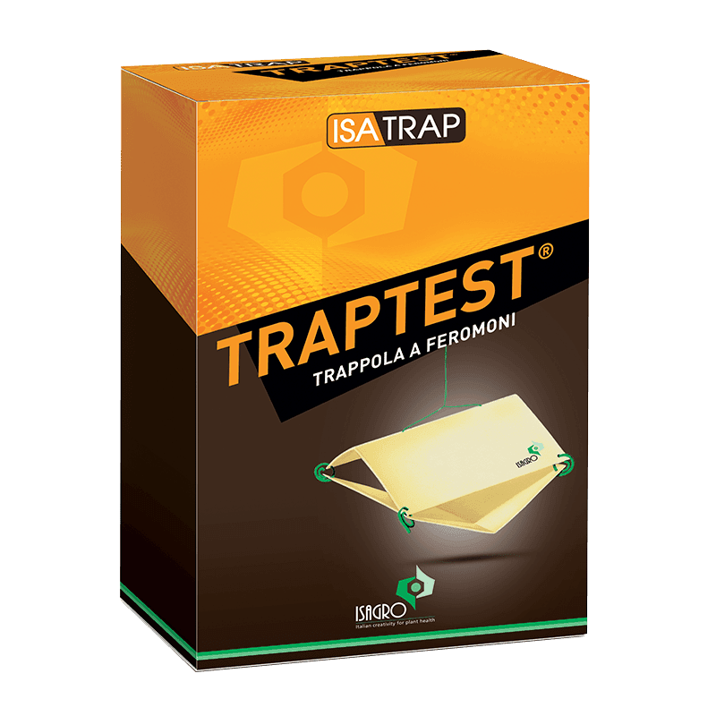 Traptest (Bactrocera oleae) 2 Traptest (Bactrocera oleae) - immagine 2