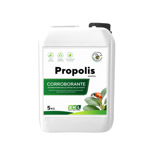 Propolis