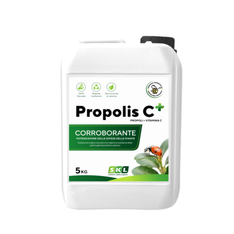 Propolis C + - Propoli + acido ascorbico