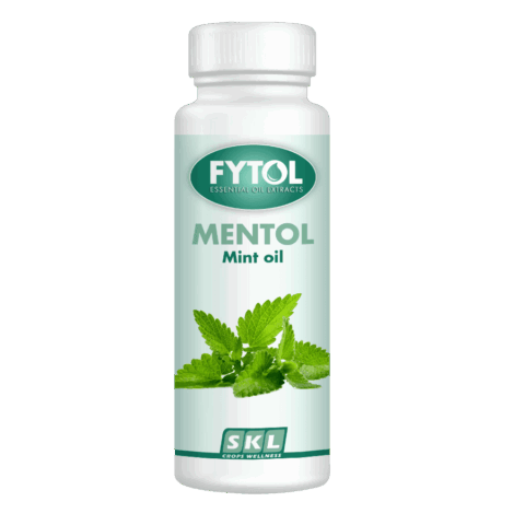 mentol
