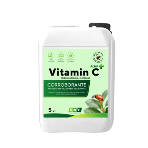 Vitamin C plus - acido ascorbico + chitosano