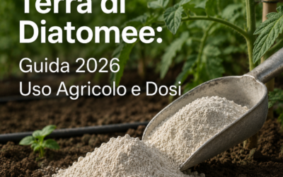 Terra di Diatomee: Guida 2026 Uso Agricolo e Dosi