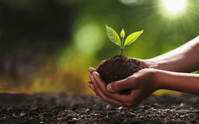 Sostanze di Base: La nuova agricoltura 2.0