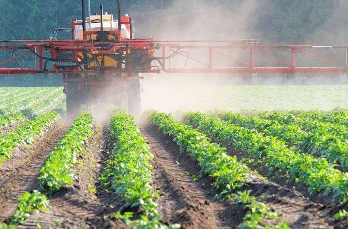 Agricoltura del Futuro Agricoltura del Futuro