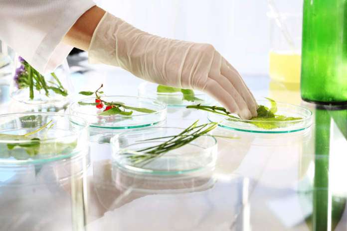 Agricoltura del futuro: l'importanza dei Bioinsetticidi e Biofungicidi 1 biopesticidi in agricoltura bio