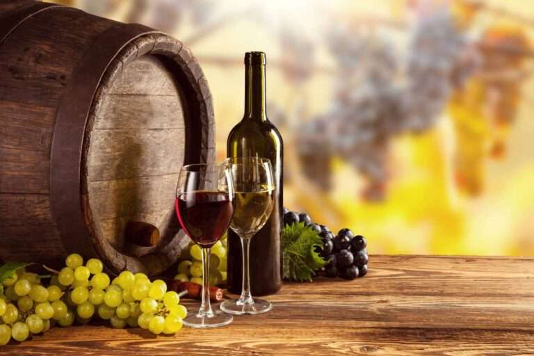 copertina articolo uva e vino biologico e biodinamico