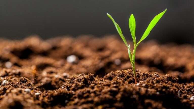 suolo agrario 1