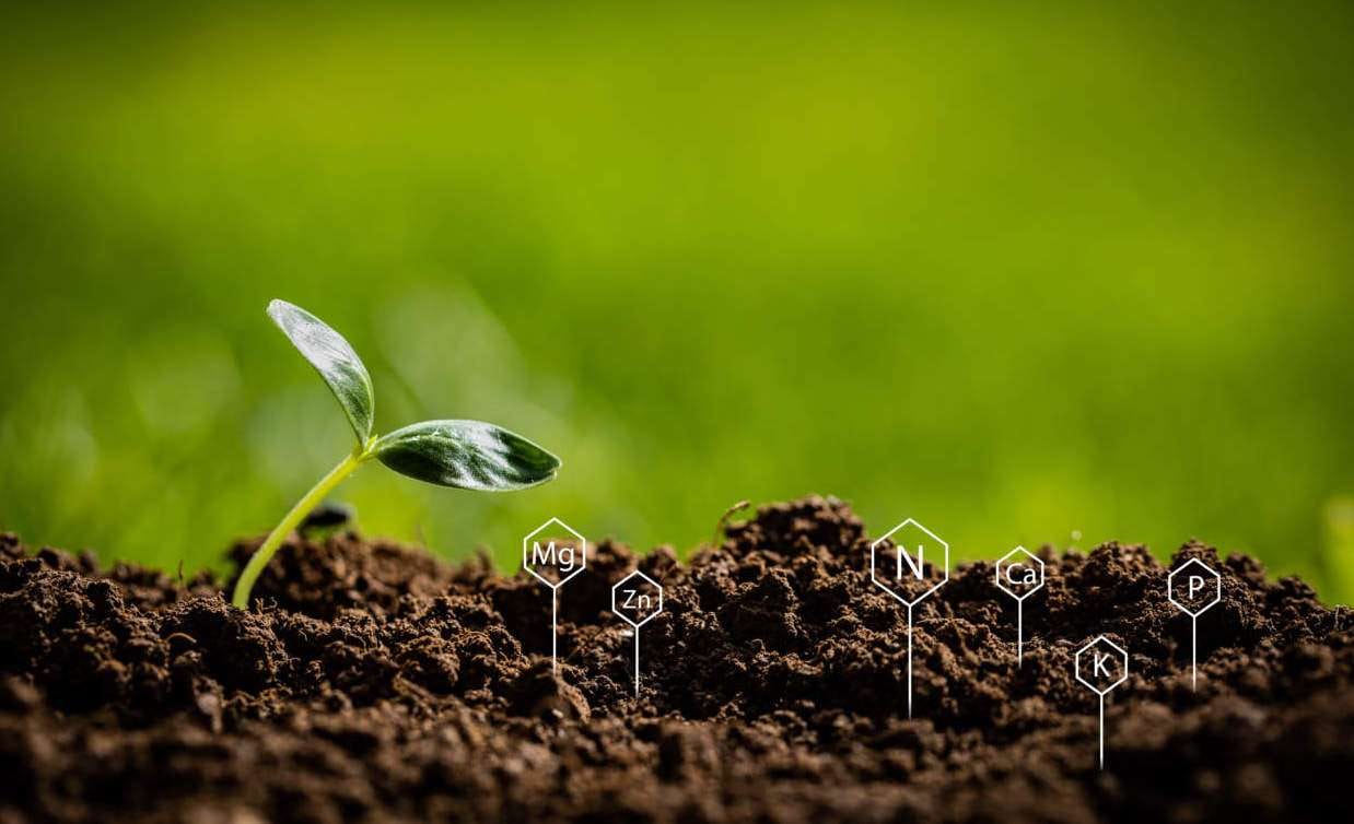 Come cambia il suolo agrario tra Integrato, Biologico e Biodinamico? 4 suolo agrario elementi nutritivi