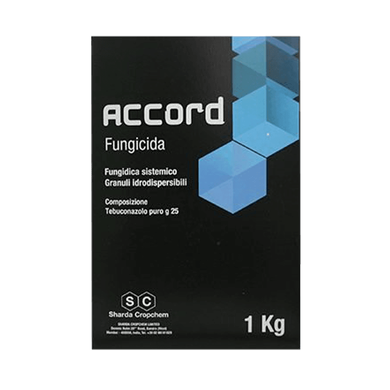 Fungicida sistemico Tebuconazolo 25% Accord WG