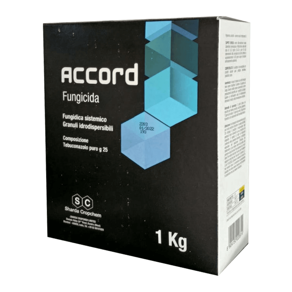 Fungicida sistemico Tebuconazolo 25% Accord WG 2 Fungicida sistemico Tebuconazolo 25% Accord WG - immagine 2