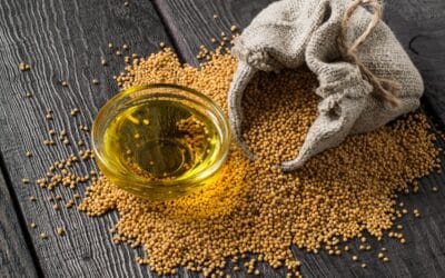 Olio di senape: estrazione, resa e usi in agricoltura