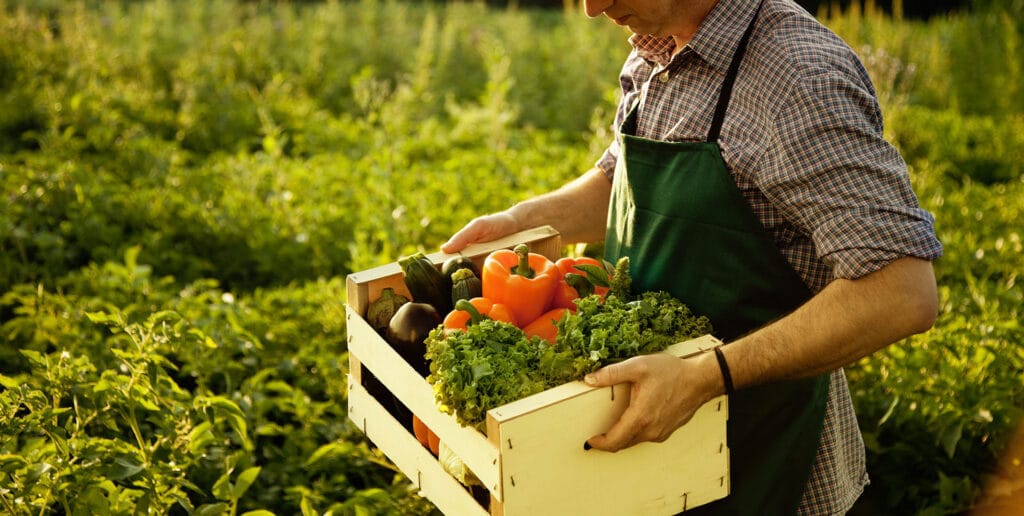 Agricoltura Biologica – Guida pratica definitiva 2022/23