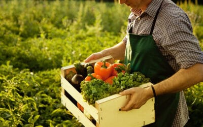Agricoltura Biologica – Guida pratica definitiva 2022/23