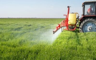 Glifosate dosi: Guida completa all’uso