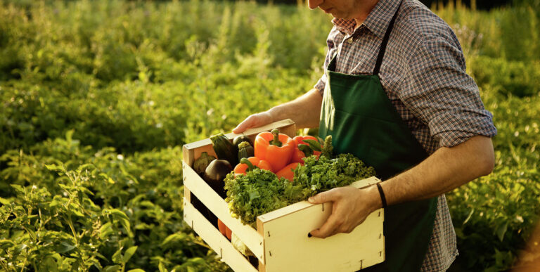 Agricoltura biologica Italia
