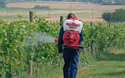 Rame Tribasico: utilizzo in agricoltura – Guida
