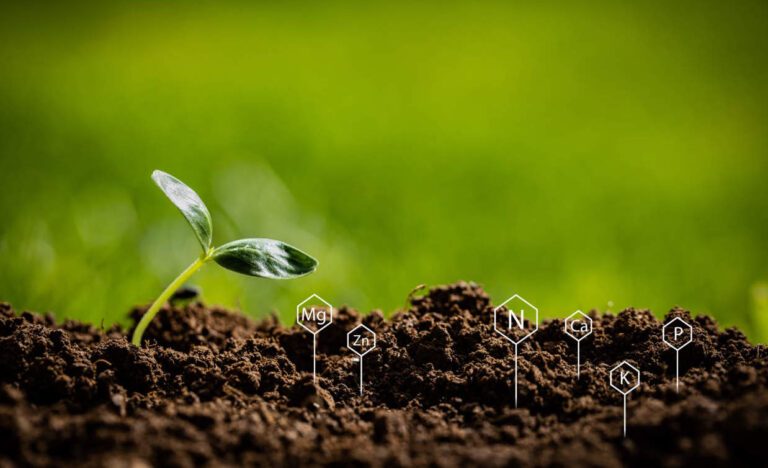 suolo agrario elementi nutritivi