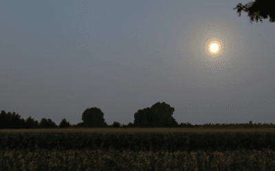 Luna piena settembre: Guida Agronomica