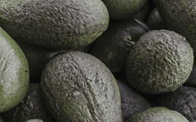 Sicilia avocado: Guida completa