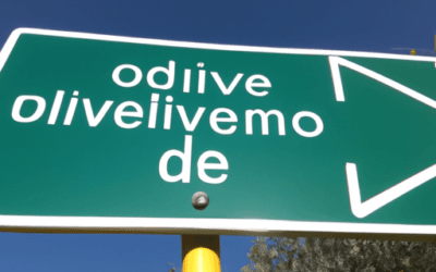 Concime oliveto: strategie e consigli pratici