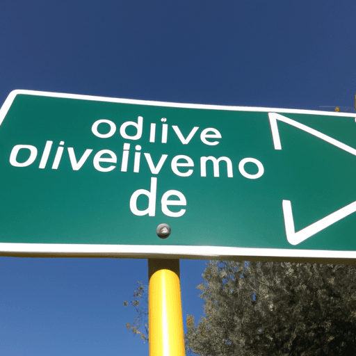 Concime oliveto: strategie e consigli pratici