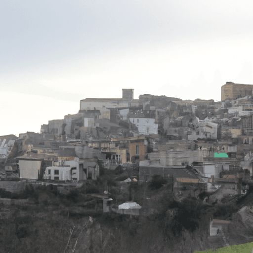 Coratina: Tutto quello che devi sapere