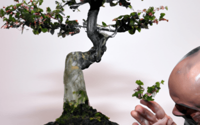 Concime per bonsai: Guida definitiva