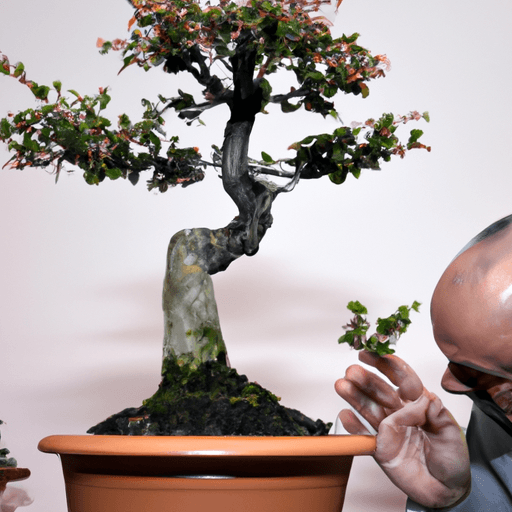Concime per bonsai: Guida definitiva