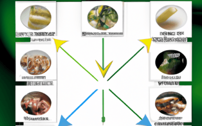 Lotta biologica: Guida completa