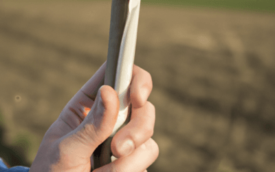 Fusaggine: Guida Agronomica