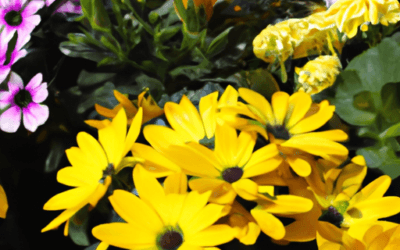 Concime per fiori: Guida definitiva