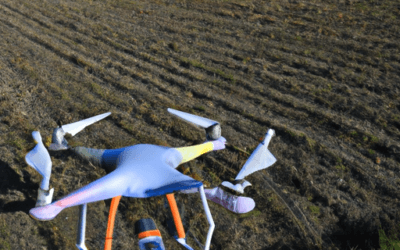 Drone agricolo: ecco come usarlo