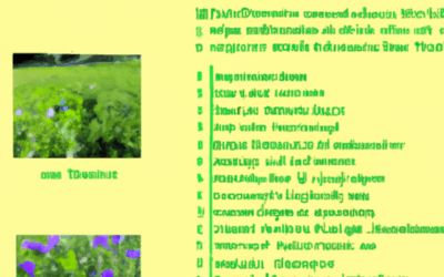 Erbe di campo: Guida Agronomica