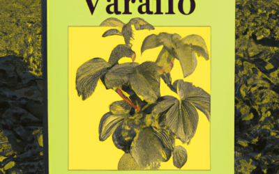 Favino pianta: Guida agronomica