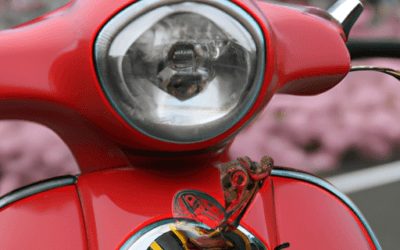 Vespa giapponese: Guida definitiva