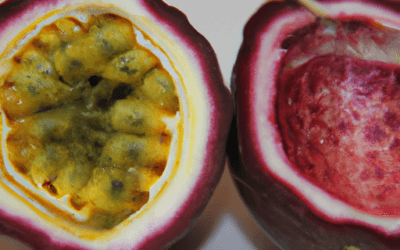 Passiflora frutto: tutto quello da sapere per coltivarlo