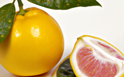 Concime agrumi: Guida definitiva