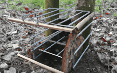 Trappole per Cinghiali: Tipologie, Normativa e Prevenzione