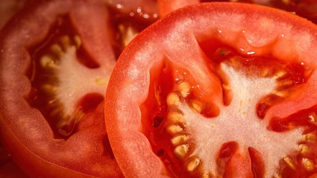 Concimi per Pomodoro: Quali Usare e in Che Fase 1 Concimi per Pomodoro: Quali Usare e in Che Fase