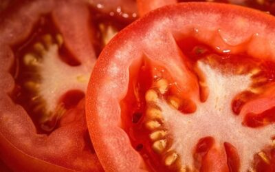 Concimi per Pomodoro: Quali Usare e in Che Fase