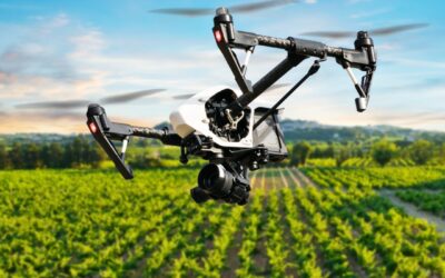 Biotech e Agricoltura Sostenibile: La Rivoluzione Verde di Agrimag