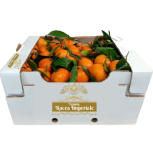 clementine della Tenuta Rocca Imperiale