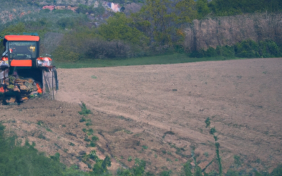 Cosa seminare a maggio