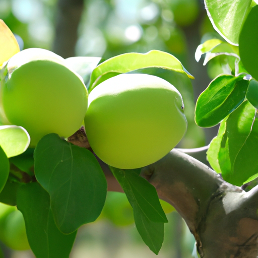 Trattamenti alberi da frutto a Maggio