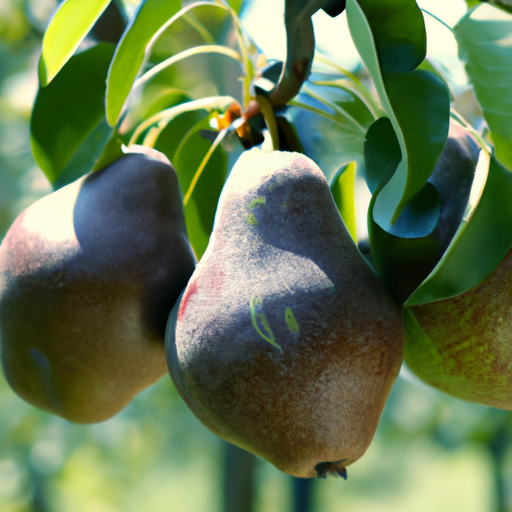 Trattamenti alberi da frutto a Luglio