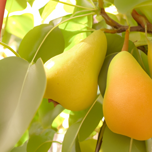 Alberi da frutto: tipologie da impiantare mese per mese