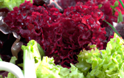 Insalata canasta: tutto quello che devi sapere per una produzione migliore