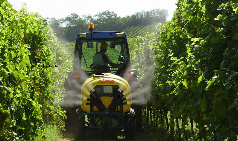 Pesticidi e Rischi Nascosti: L’importanza dei Trattamenti Naturali nell’Agricoltura