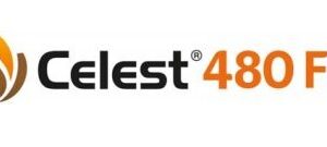 CELEST 480 FS Fungicida Fludioxonil